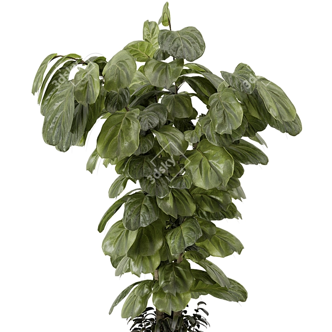 Modern Indoor Plants Set 3D 3D model image 3
