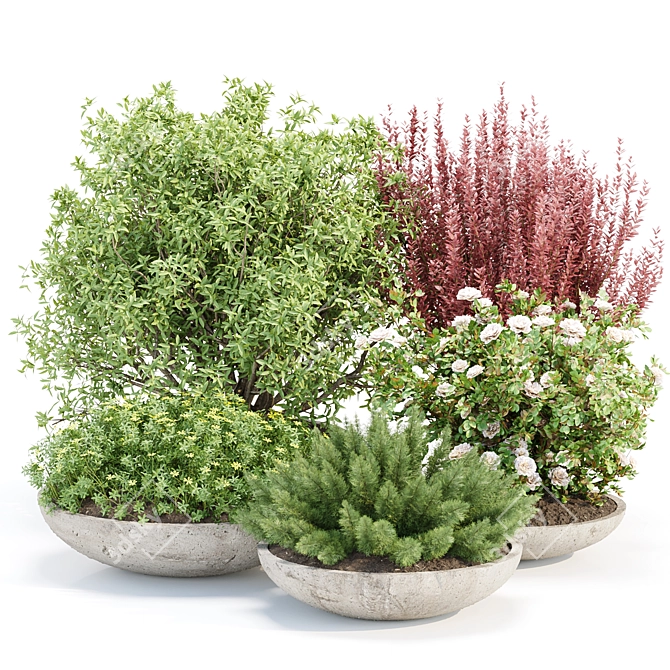 Outdoor Plants 3D Model Collection 3D model image 1