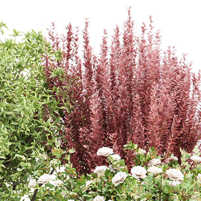 Outdoor Plants 3D Model Collection 3D model image 2