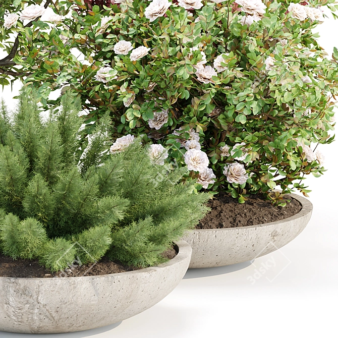Outdoor Plants 3D Model Collection 3D model image 3