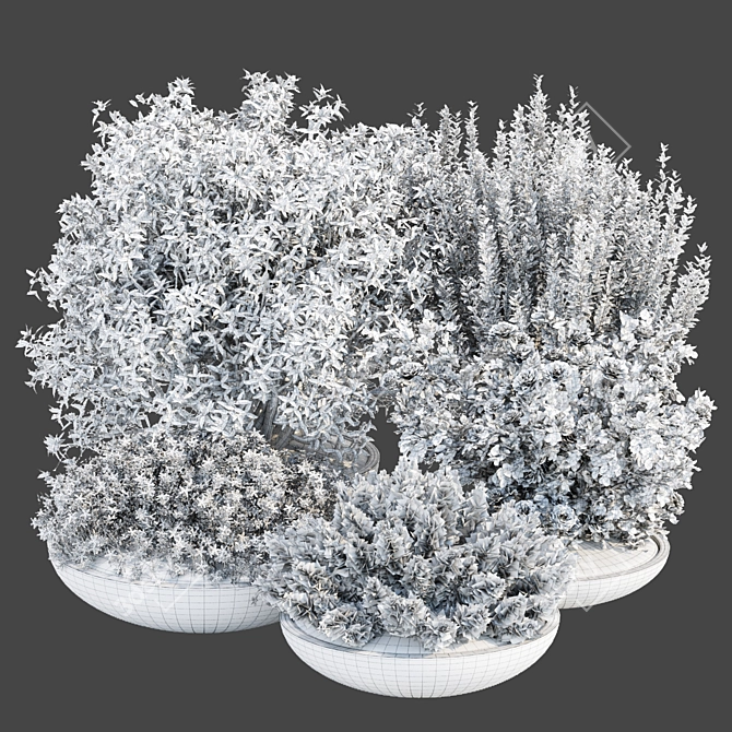 Outdoor Plants 3D Model Collection 3D model image 6
