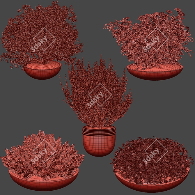 Outdoor Plants 3D Model Collection 3D model image 7