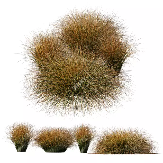 Fire Orange Sedge Grass Model 3D model image 1