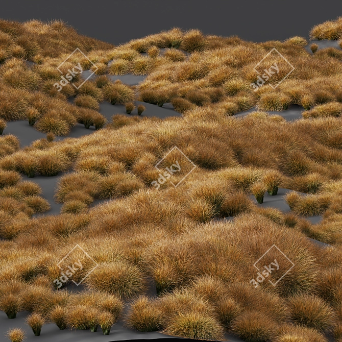 Fire Orange Sedge Grass Model 3D model image 2