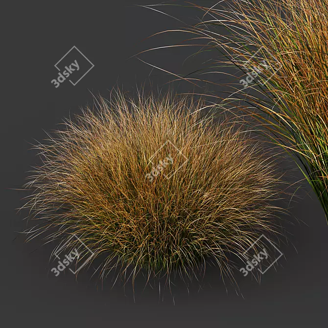 Fire Orange Sedge Grass Model 3D model image 3