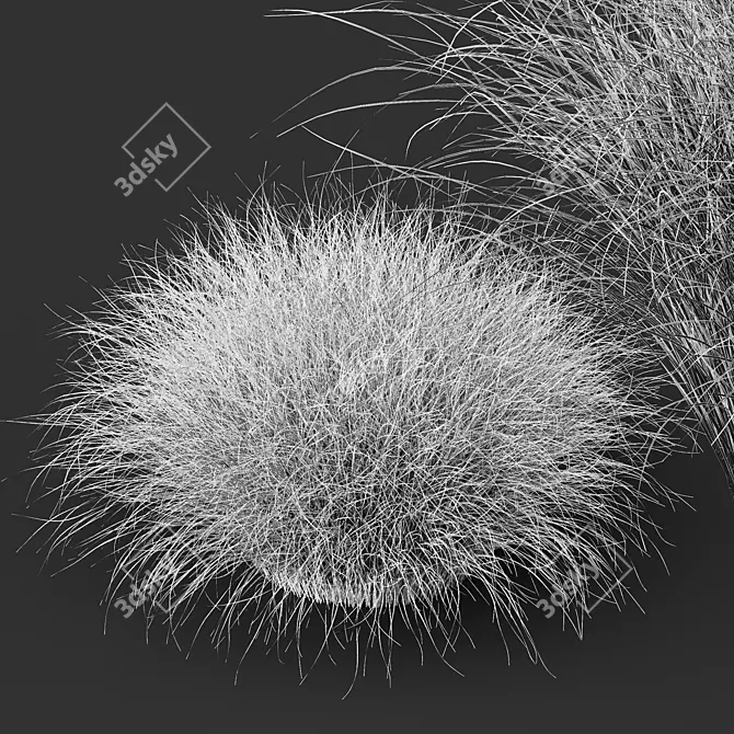 Fire Orange Sedge Grass Model 3D model image 5