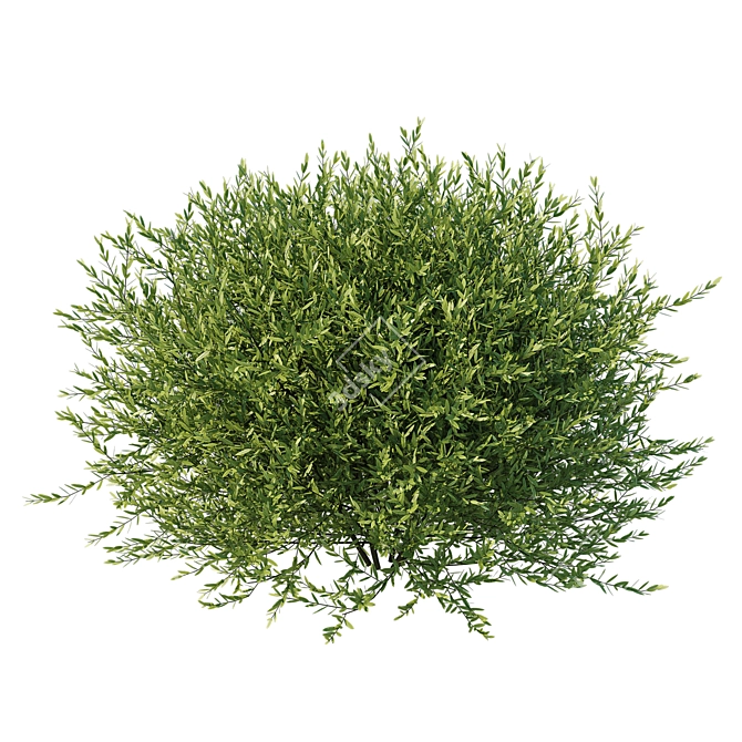 Modern Olive Little Ollie Fixture 3D model image 2
