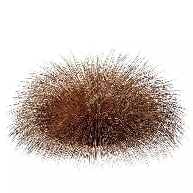 Vibrant Orange Sedge Grass 3D Models 3D model image 3