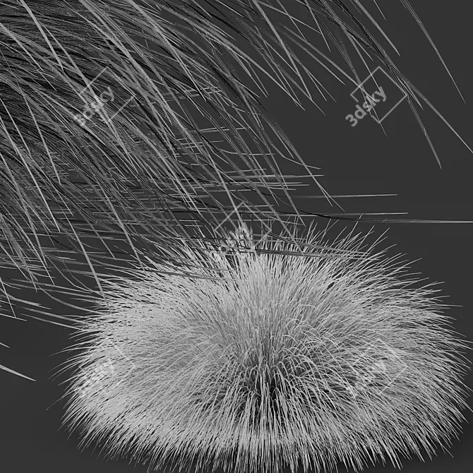 Vibrant Orange Sedge Grass 3D Models 3D model image 5