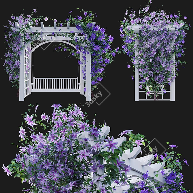 3D Clematis Plant Models - Complete Growth Solutions 3D model image 1