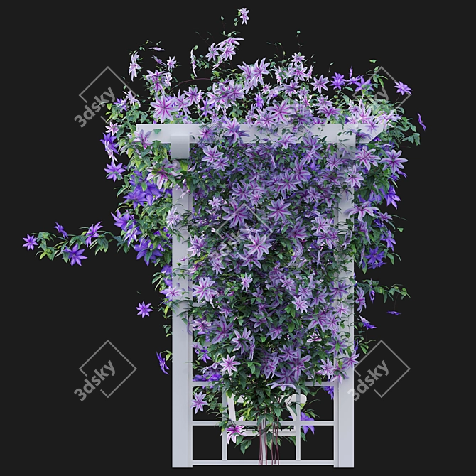 3D Clematis Plant Models - Complete Growth Solutions 3D model image 3