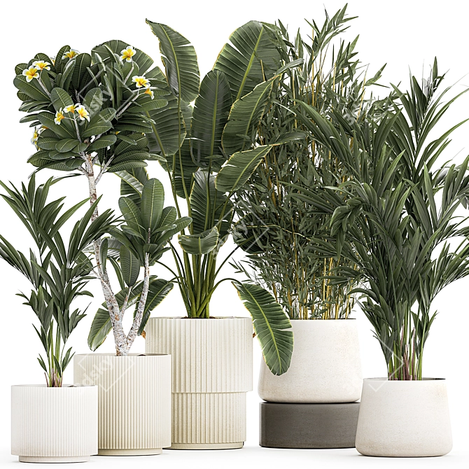 Exotic Plant Collection Set 3D model image 1
