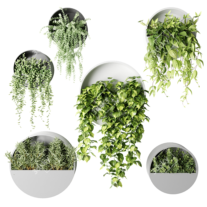 Hanging Planter Circles with Indoor Trailing Plants 3D model image 1