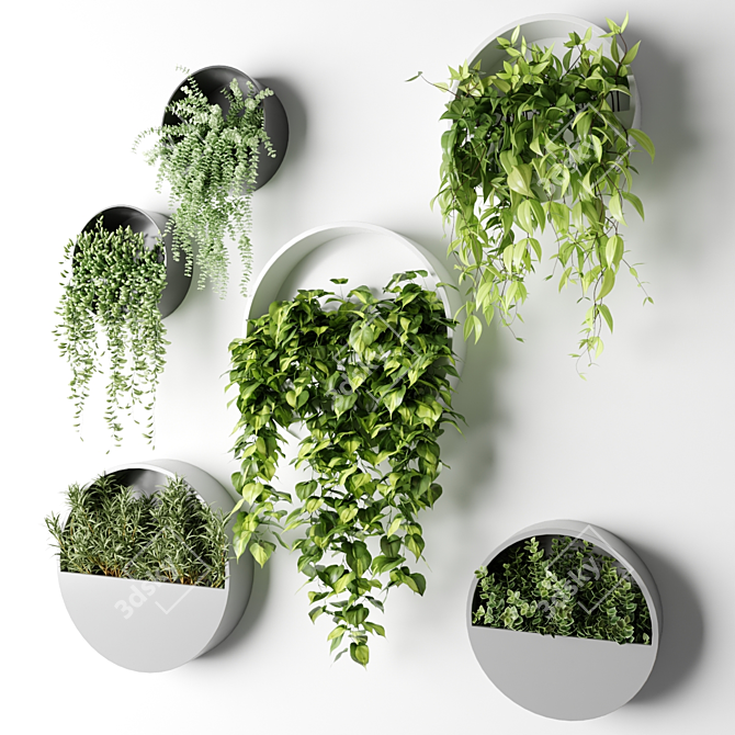 Hanging Planter Circles with Indoor Trailing Plants 3D model image 3