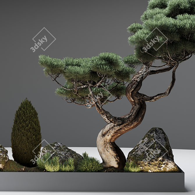 Japanese Pine Composition: Home & Garden Decor 3D model image 5