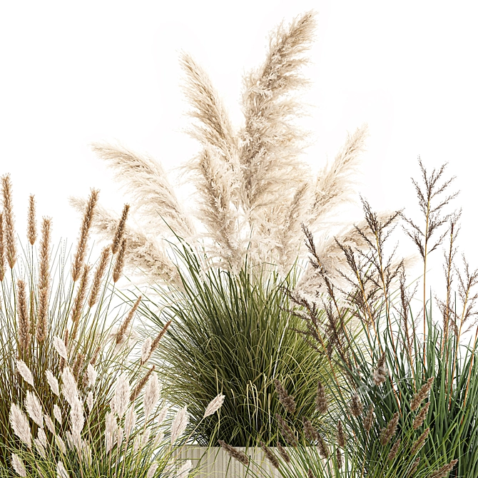 Decorative Grass and Bush Set 3D model image 5