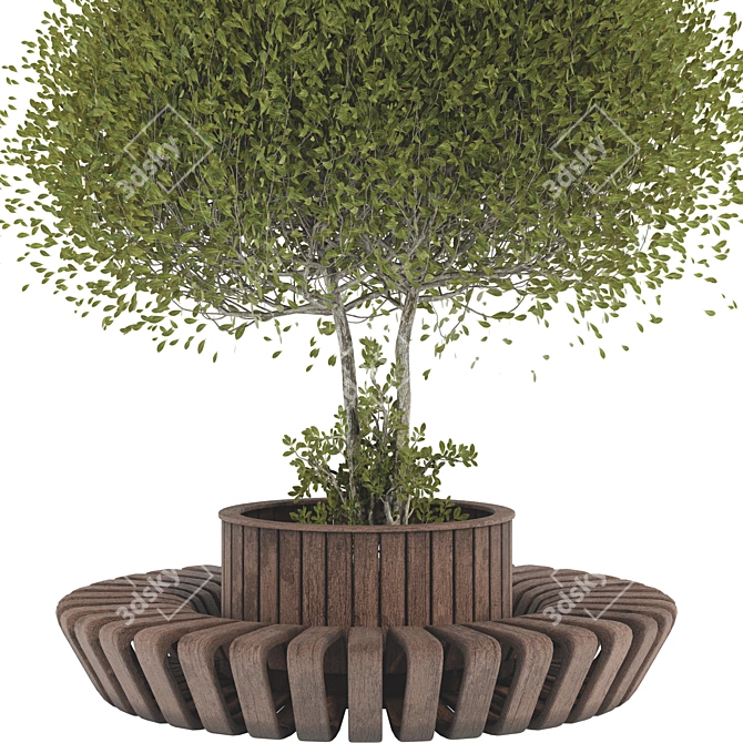 Wooden Bench with Oval Tree 3D model image 6