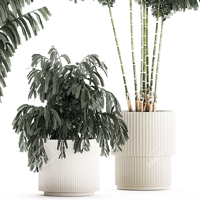 Exotic Concrete Palm Decor 3D model image 5