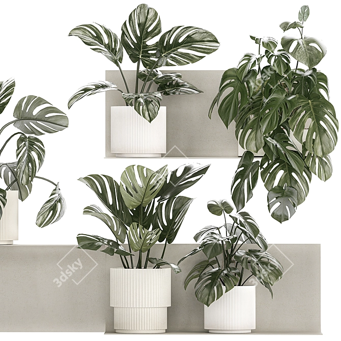 Tropical Monstera Vertical Garden Set 3D model image 4