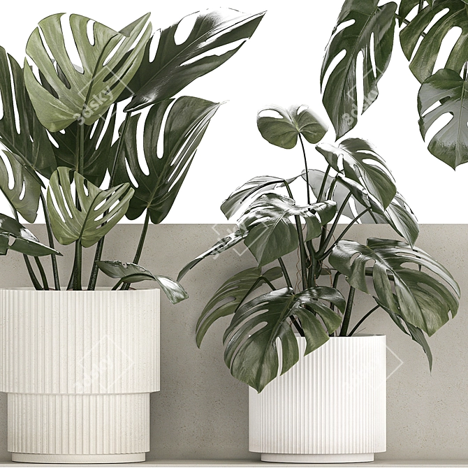 Tropical Monstera Vertical Garden Set 3D model image 6