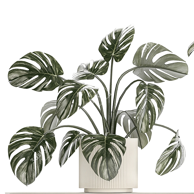 Tropical Monstera Vertical Garden Set 3D model image 7