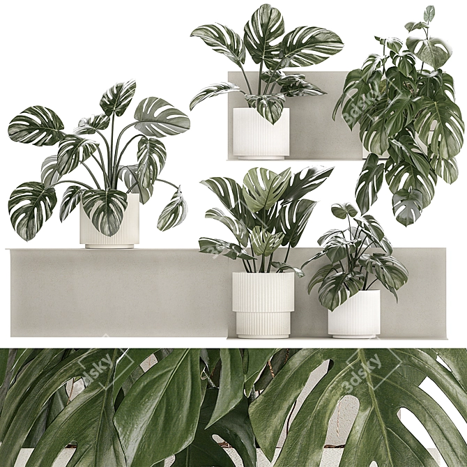 Tropical Monstera Vertical Garden Set 3D model image 1