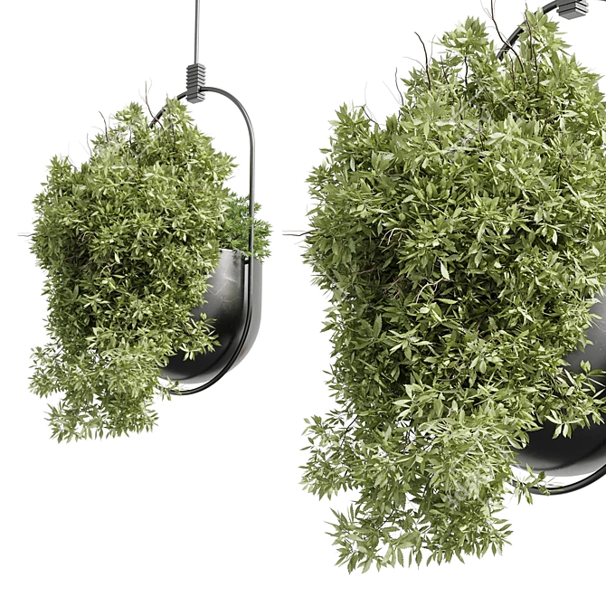 Indoor Hanging Plants Set 377 3D model image 3