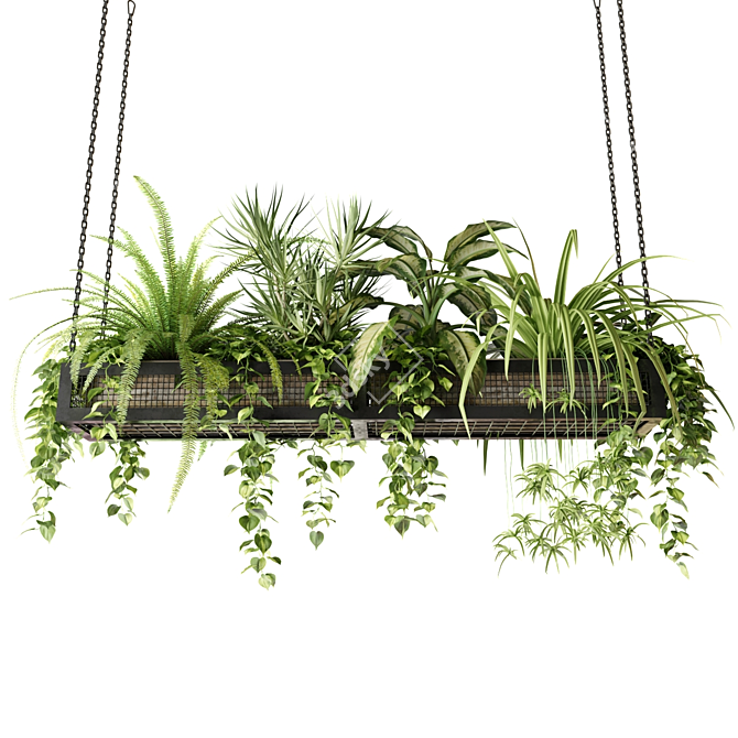 Hanging Plant Mesh - Indoor & Hanging Plants 3D model image 1