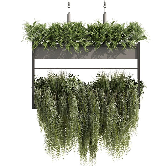 High-Quality Hanging Ampelous Plant 3D model image 2