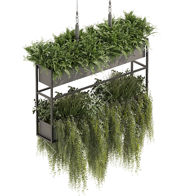 High-Quality Hanging Ampelous Plant 3D model image 3