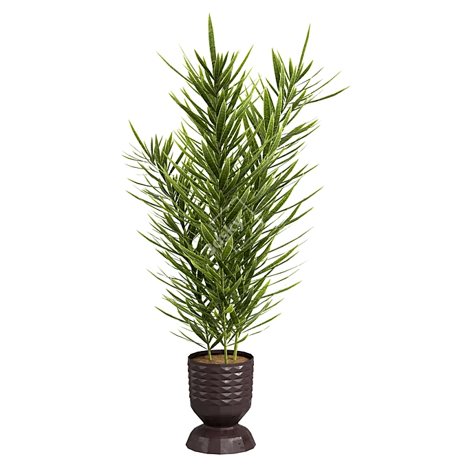  Indoor Plants 4 Pack Bundle 3D model image 2