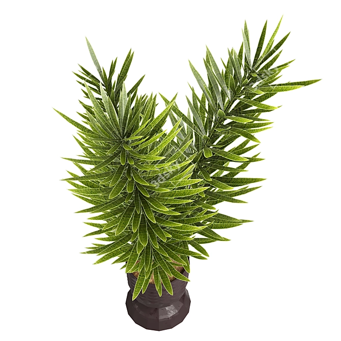  Indoor Plants 4 Pack Bundle 3D model image 3