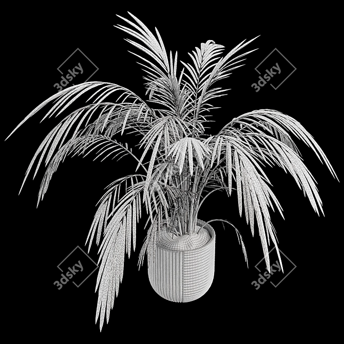 Exotic Palm Tree Pot Collection 3D model image 7