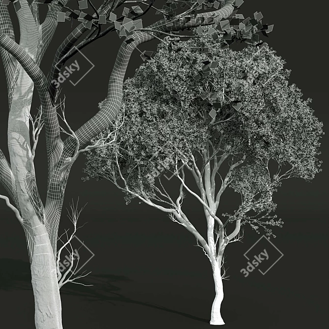 Dual Summer Tree 3D Models 3D model image 6