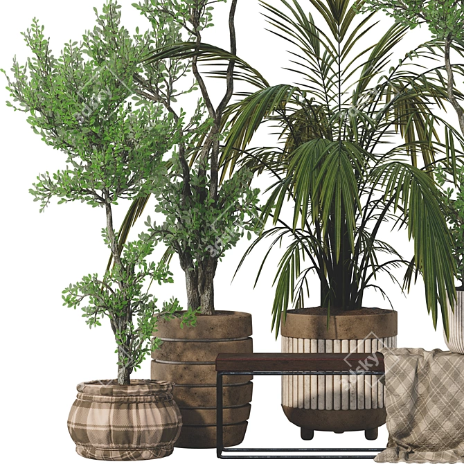 Elegant Parlor Palm & Pot 3D model image 2
