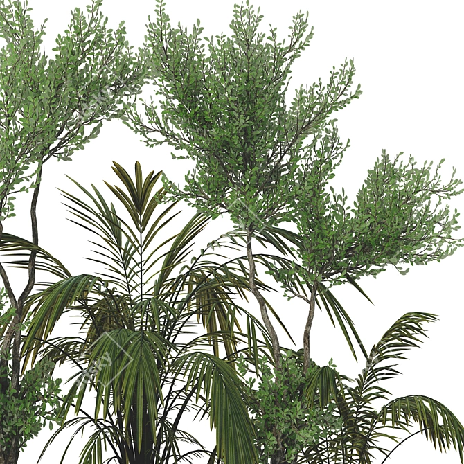 Elegant Parlor Palm & Pot 3D model image 4