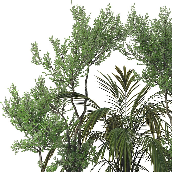 Elegant Parlor Palm & Pot 3D model image 5