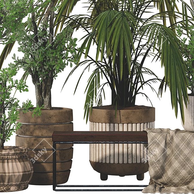 Elegant Parlor Palm & Pot 3D model image 6