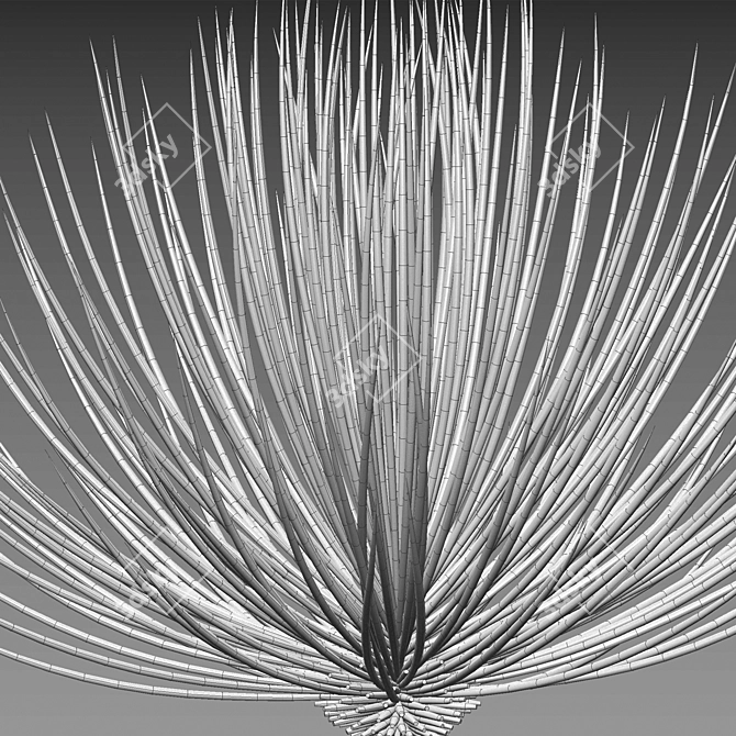 Versatile 3D Agave Plant Models 3D model image 4