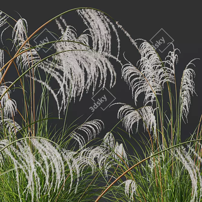 Ornamental Grass 3D Models Kit 3D model image 3