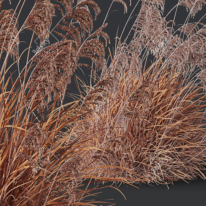 Ornamental Grass 3D Models Kit 3D model image 5