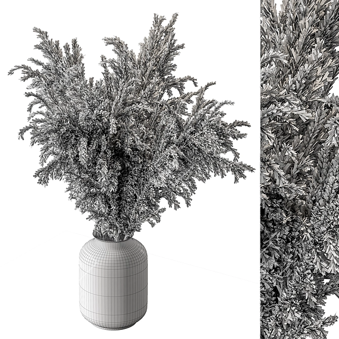  Pampas Dry Plants Bundle 3D model image 4