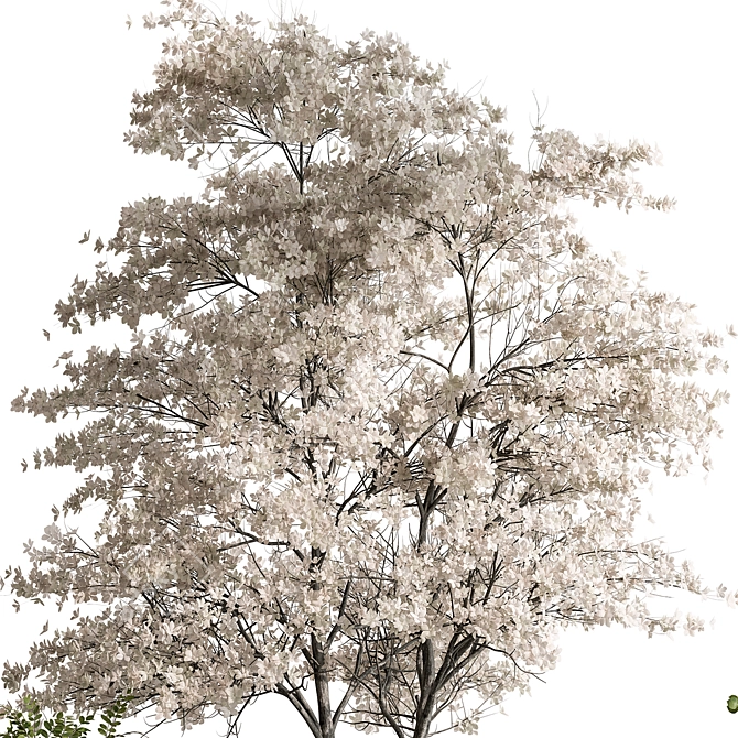 Title: Flower Tree Outdoor Plants 3D model image 3