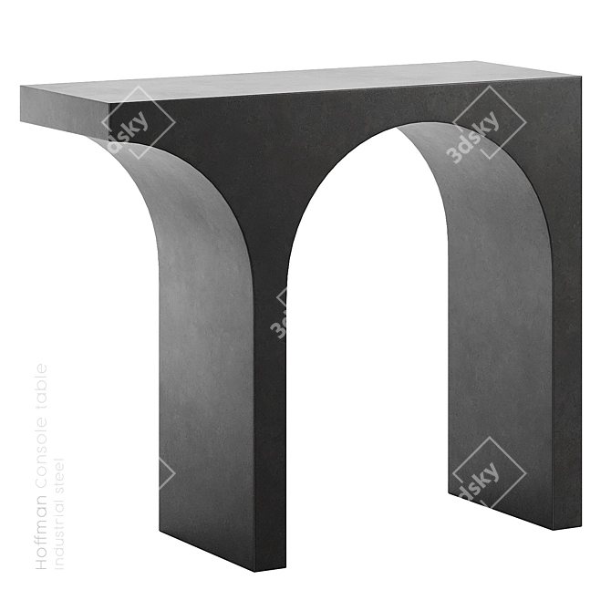 Sleek Metal Console Table - Black Rooster Decor 3D model image 1