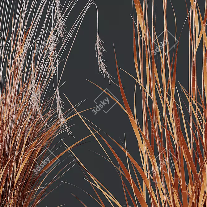 Elegant Moor Grass Decor Element 3D model image 4