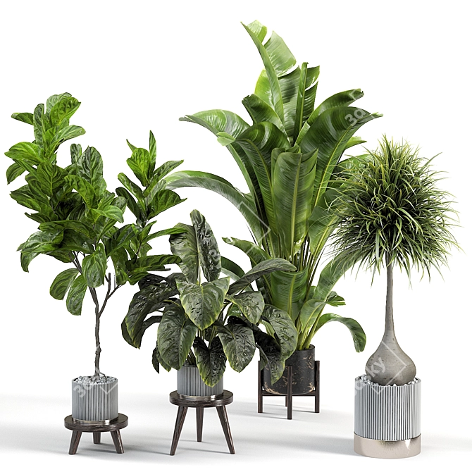 Assorted Indoor Plant Set 3D model image 1