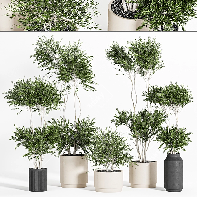 Reshapeable Indoor/Outdoor Plants 3D model image 1