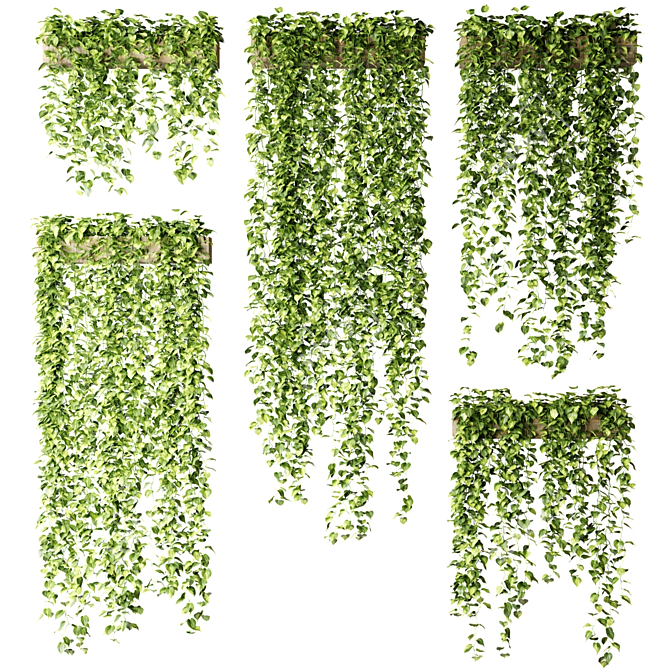 Hanging Epipremnum in Wooden Crates 3D model image 1