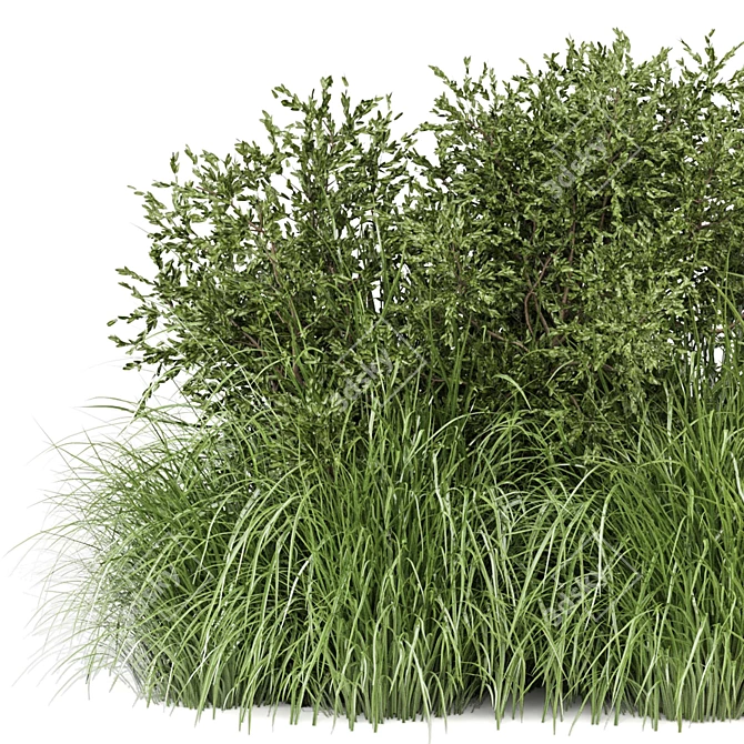 Outdoor Bush Plants 3D Models 3D model image 2