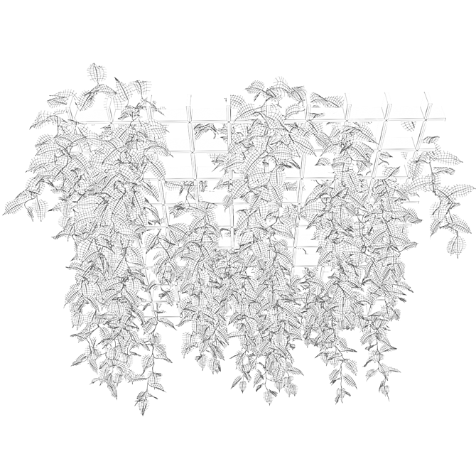 Epipremnum Hanging Plant Grid 3D model image 2